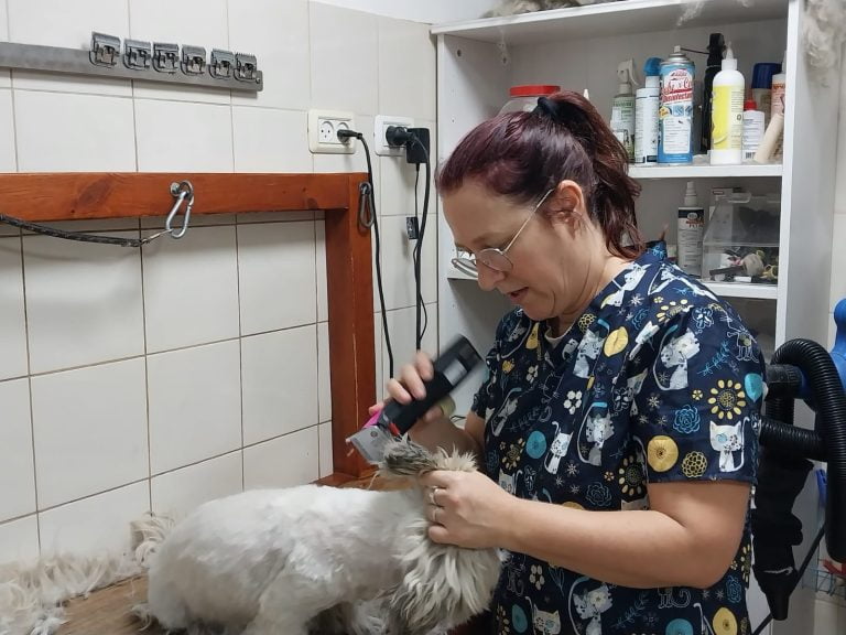 צמד חמד | ספרי כלבים מקצועיים ללמידה והעמקה בתחום הטיפוח