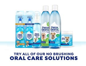 ⁦פרש דנטל Fresh Dental ספריי לניקוי שיניים⁩ – תמונה ⁦2⁩