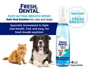 ⁦פרש דנטל Fresh Dental ספריי לניקוי שיניים⁩ – תמונה ⁦4⁩