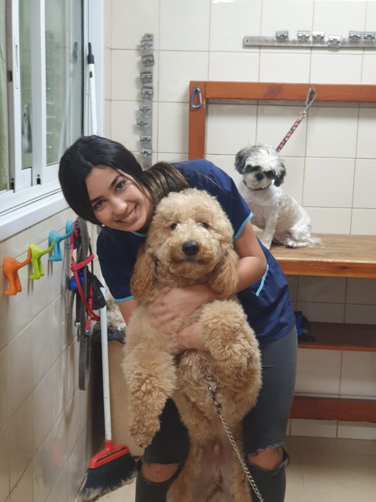 צמד חמד | לימוד ספרות כלבים – הדרך המקצועית להיכנס לתחום צמד חמד | לימוד ספרות כלבים – הדרך המקצועית להיכנס לתחום