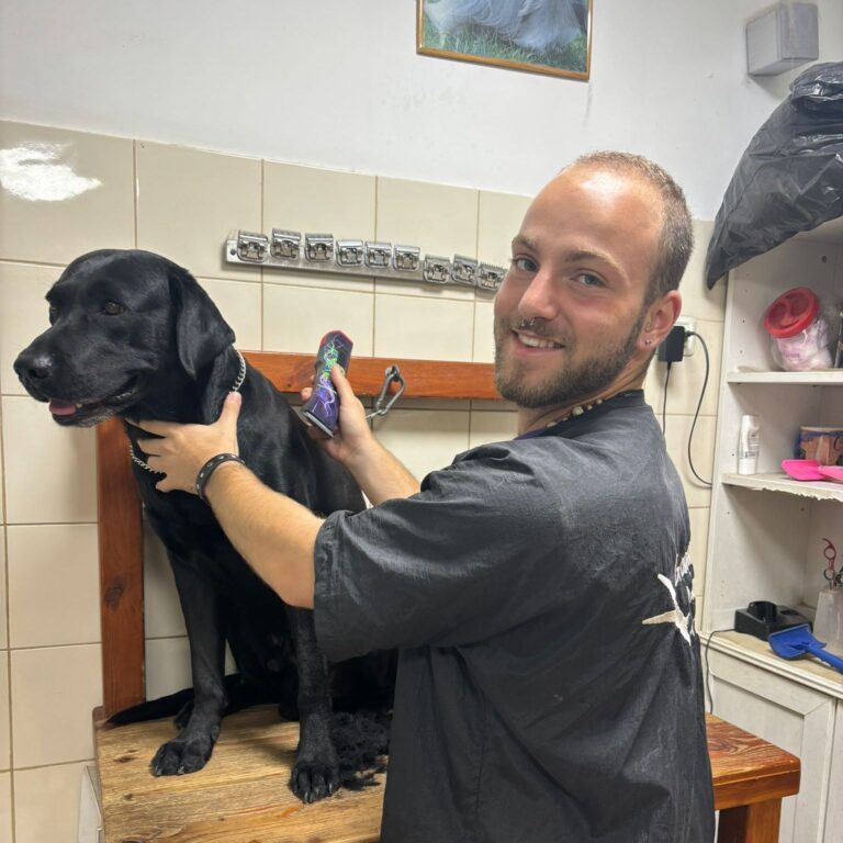 צמד חמד | קביעת תור למספרה צמד חמד|קביעת תור למספרה