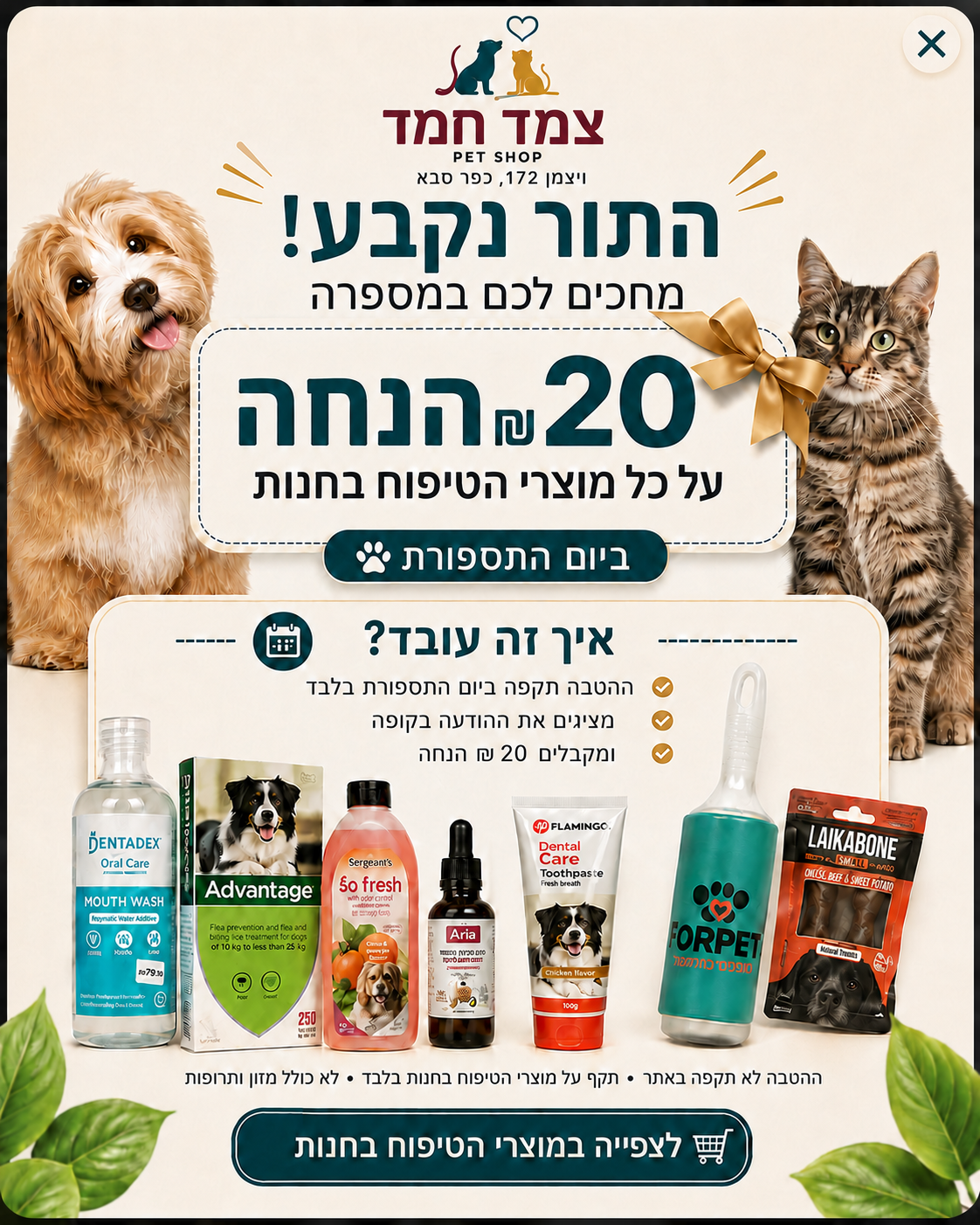 צמד חמד | בונאסיבו Bonacibo כבש ואורז גזע קטן 4 ק"ג
